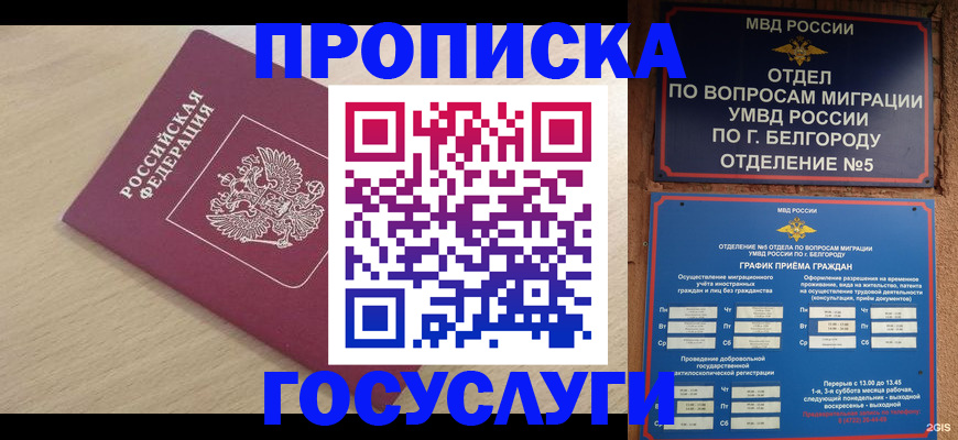 прописка законно в Нововоронеже